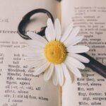 御言葉を伝えて下さる方についての悟りが足りないと気づきました①(I realized that I lacked enlightenment about the One who conveys the God's word①)