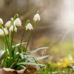 ラプトさんのための祈りをしたら、聖霊の恵みを感じました(I prayed for RAPT, and I felt the grace of Holy Spirit.)