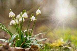 ラプトさんのための祈りをしたら、聖霊の恵みを感じました(I prayed for RAPT, and I felt the grace of Holy Spirit.)