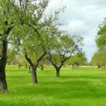 御言葉を伝えて下さる方についての悟りが足りないと気づきました④(I realized that I lacked enlightenment about the One who conveys the God's word④)