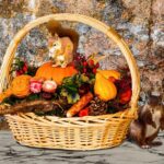 11/11の主の祝祭の日の様な一日を過ごせました。(I had a day like the Feast of the Lord on 11/11!)