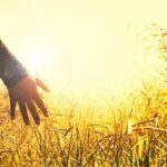 本日の聖句 -ヨハネの黙示録 第21章 23~27節- (Today's scripture -The Revelation to Saint John, Chapter 21 : 21~27 -)