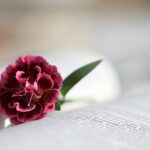 御言葉を伝えて下さる方についての悟りが足りない⑥イエス様(I realized that I lacked enlightenment about the One who conveys the God's word⑥Jesus)