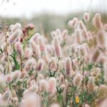 今こそ、神様の心情を深く悟れますように。(May we realize God's heart deeply now.)