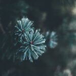 終わりの時と、ラプトさんが伝えて下さる御言葉に救われた一年間(A year saved by the end times and the God's word that Rapt tells us.)