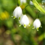 お祈りの中で悔い改めることによって感じる事が出来た、謙虚な気持ち(A sense of humility that I could feel by repenting in prayer.)