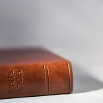 自分自身をより完全な方へ成長させてくれる、本物の宗教(A real religion that helps you grow toward greater perfection.)