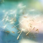 救いのために生きてこそ、天国への道が開かれる(Only by living for the salvation of mankind can the path to heaven be opened.)