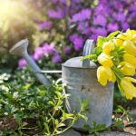 本日の聖句 -コリント人への第二の手紙 第9章6~8節- (Today's scripture -The Second Epistle of Paul the Apostle to the Corinthians, Chapter9:6~8-)