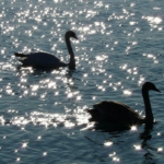 Articles for English speakers and "about the Holy Spirit"(英語圏の方に向けての記事・聖霊様について)