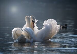Articles for English speakers and "God and the Holy Spirit, Adam and Eve"(英語圏の方に向けての記事・神様と聖霊様、アダムとエバ)