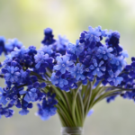 2023年・預言・神様への感謝(2023, Prophecy, Thanks to God)