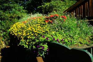 神様に寄り頼み、自分の人生の開拓者となろう!(Rely on God and be a pioneer in your own life!)