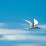 幸せににるための、有効的な信仰生活とは。[神様に合わせることの重要性](An effective life of faith to be happy.[The Importance of Alignment with God])