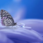 「優先順位」を間違えた果ての偽善、神様の愛と裁き(Hypocrisy at the end of "wrong priorities", God's love and judgment)