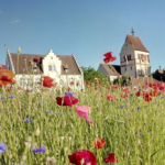 最高の老後対策は、「神様を愛し、神様のために生きること」(The best retirement strategy is to "love God and live for Him.")