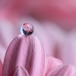 主への愛の次元と段階。私達を導き、育てて下さる神様の愛。(Dimensions and stages of love for the Lord. The love of God that guides and nurtures us.)